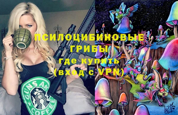 винт Корсаков