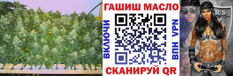 Купить где  Жиздра  ТГК THC oil 