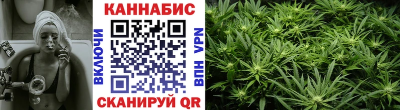 Канабис индика  Купить закладки  Жиздра 